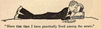 Since that time I have practically lived among the newts